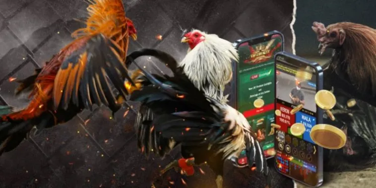 Chơi Đá Gà GA28 Hi88 Ngay Để Thắng Lớn Mỗi Ngày