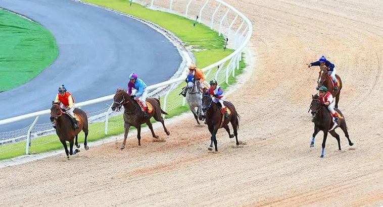 dua ngua 1 2 20251115 135903 1